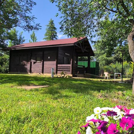 Casas Rurales Tabla Honda El Robledo  Exteriér fotografie