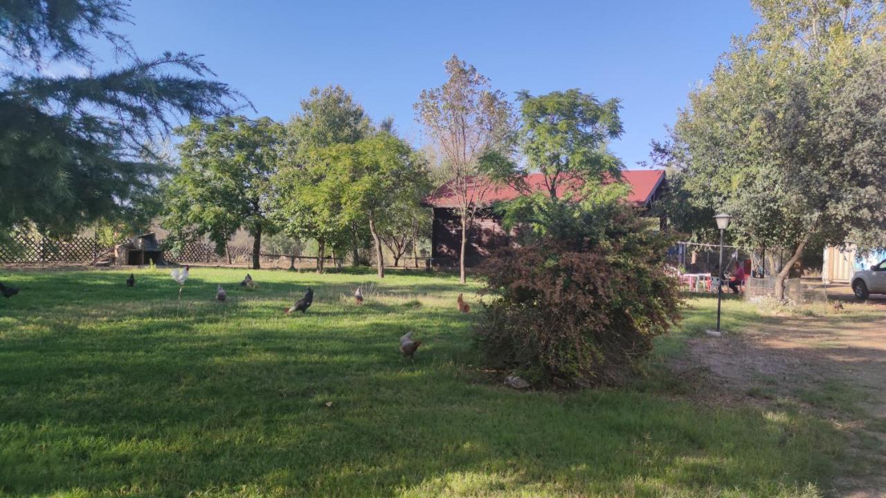Casas Rurales Tabla Honda El Robledo  Exteriér fotografie