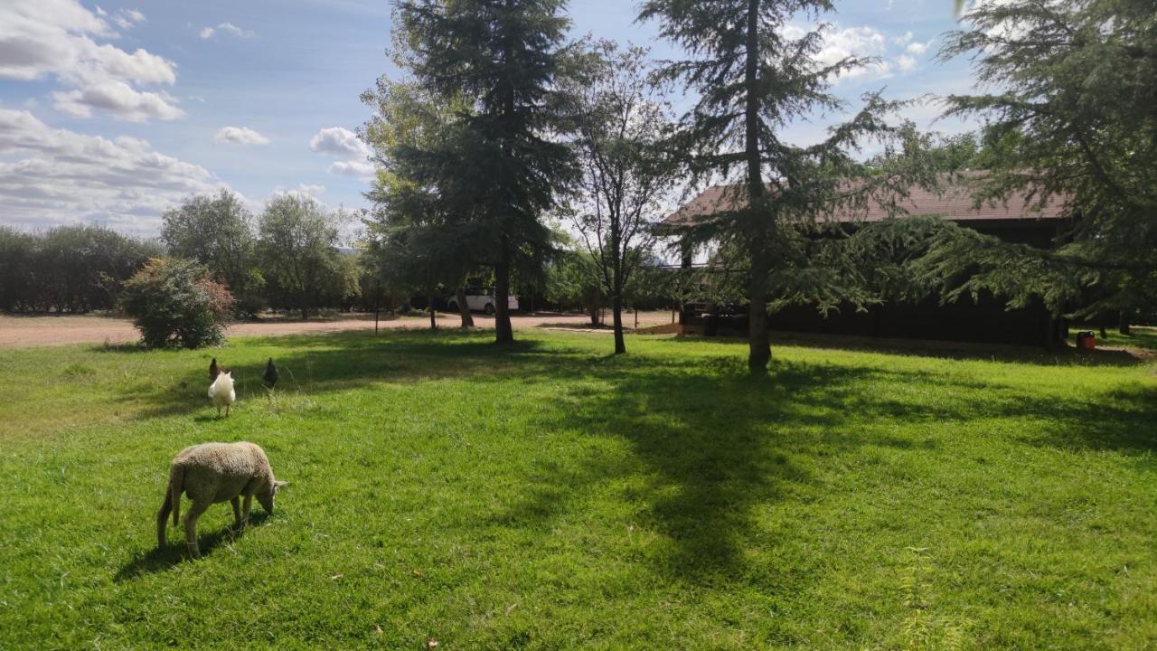 Casas Rurales Tabla Honda El Robledo  Exteriér fotografie