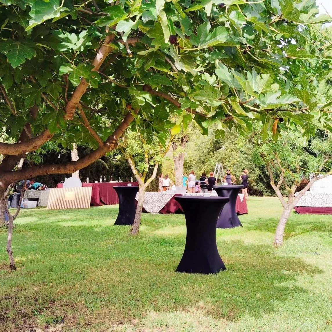 Casas Rurales Tabla Honda El Robledo  Exteriér fotografie